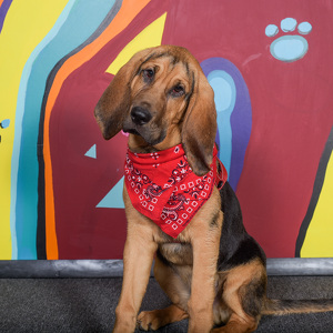 Fundraising Page: luis saenz